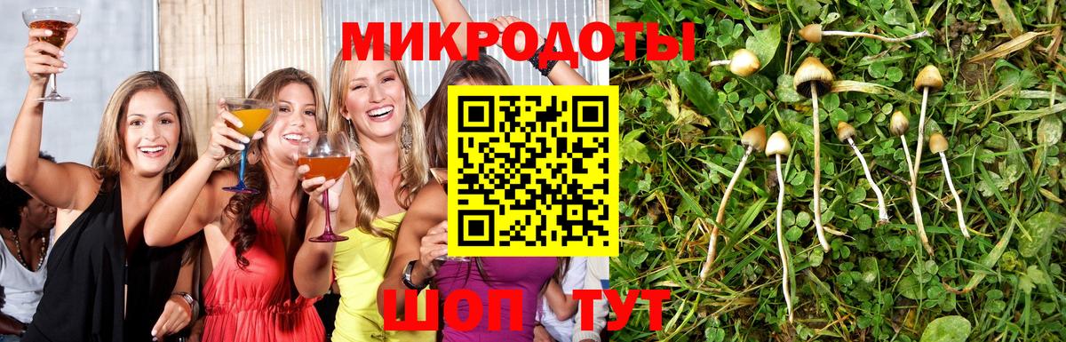 Заволжье  Галлюциногенные грибы MAGIC MUSHROOMS  Галлюциногенные грибы мицелий  Вход с VPN 